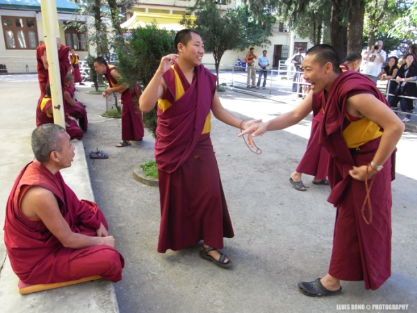 Discussions filosófiques budistes a Mcleod Ganj i retorn del Dalai Lama