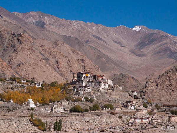Ladakh, els monasteris de Phyang, Basgo, Likir i Rizong