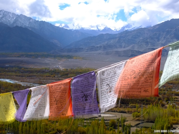Tornem a Ladakh. Kyi-Kyi-So-So-Lhargyalo!!