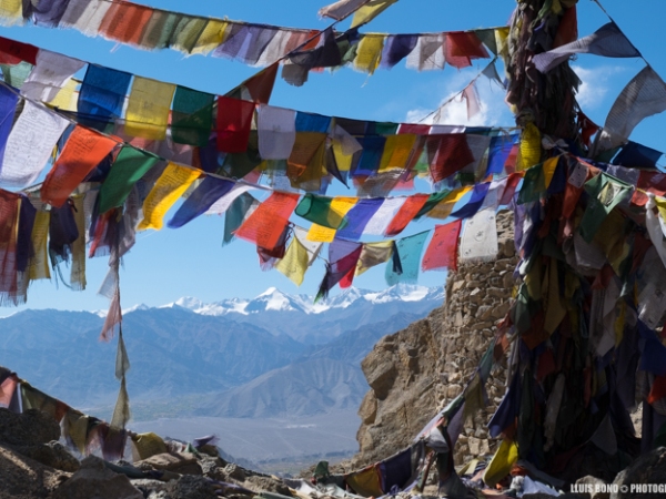 Ladakh, un mes al paradís