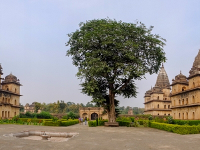 Orchha, temples i palaus a Madhya Pradesh