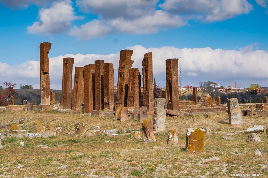 Làpides al cementiri seljúcida de Ahlat