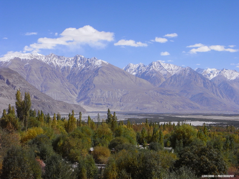 Ladakh: la Vall de Nubra i el petit llogaret de Hunder