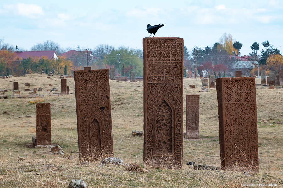 Corb damunt una làpida del cementiri seljúcida de Ahlat