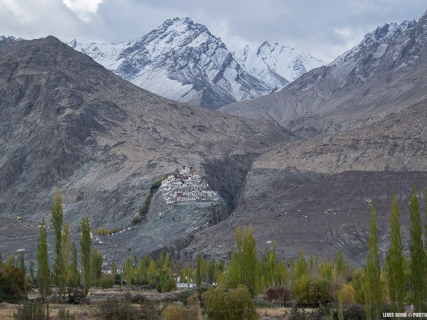 Ladakh: El gompa de Diskit, Vall de Nubra, i retorn a Leh